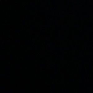 Meet your Posher, Hayden